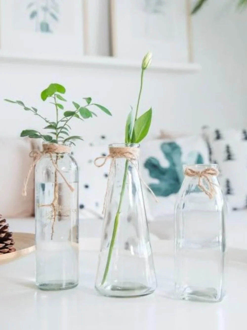 Glass Vases in Differing Shapes with Rope - Set of 6